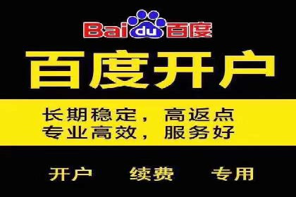 百度竞价代理技巧：经典成功案例解析